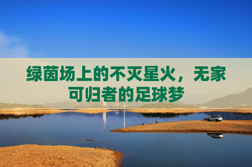 绿茵场上的不灭星火，无家可归者的足球梦