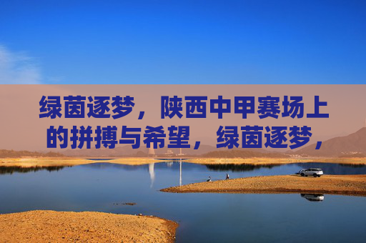 绿茵逐梦，陕西中甲赛场上的拼搏与希望，绿茵逐梦，陕西中甲赛场上的拼搏与希望