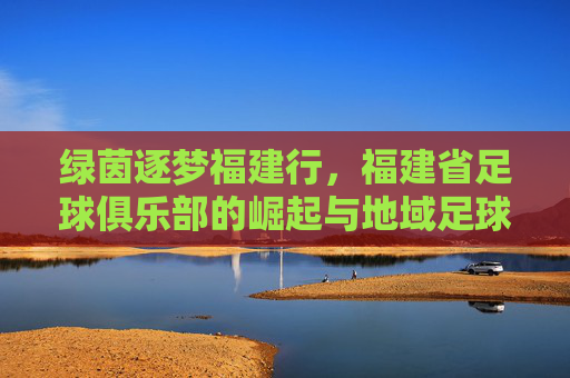 绿茵逐梦福建行,福建省足球俱乐部的崛起与地域足球文化传承