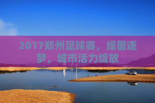 2017郑州足球赛，绿茵逐梦，城市活力绽放