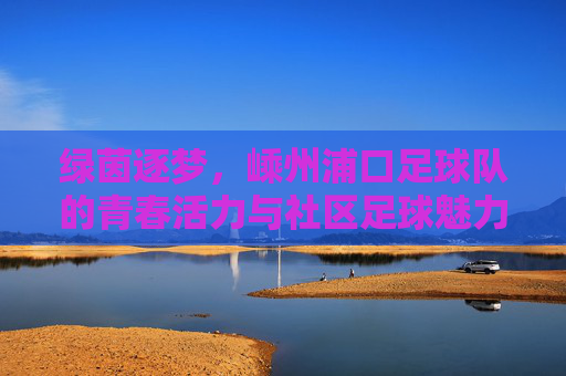 绿茵逐梦，嵊州浦口足球队的青春活力与社区足球魅力，绿茵逐梦，嵊州浦口足球队的青春活力与社区足球魅力