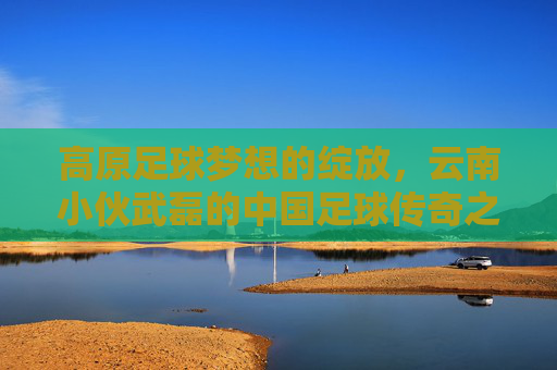 高原足球梦想的绽放，云南小伙武磊的中国足球传奇之路