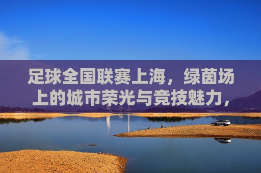 足球全国联赛上海，绿茵场上的城市荣光与竞技魅力，足球全国联赛上海，绿茵场上的城市荣光与竞技魅力