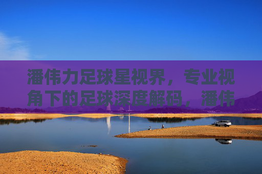 潘伟力足球星视界,专业视角下的足球深度解码,潘伟力足球星视界,专业视角下的足球深度解码