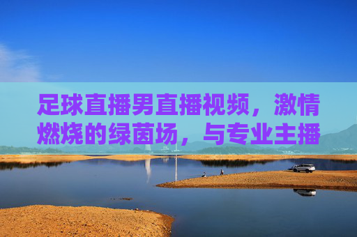 足球直播男直播视频,激情燃烧的绿茵场,与专业主播共赴观赛之约