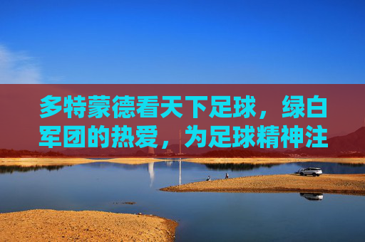 多特蒙德看天下足球，绿白军团的热爱，为足球精神注入灵魂，多特蒙德，绿白军团的热爱，为足球精神注入灵魂