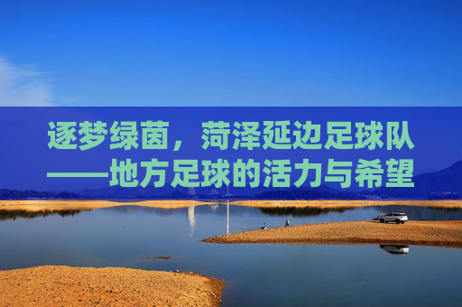 逐梦绿茵，菏泽延边足球队——地方足球的活力与希望，逐梦绿茵，菏泽延边足球队——地方足球的活力与希望