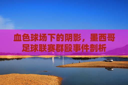 血色球场下的阴影,墨西哥足球联赛群殴事件剖析