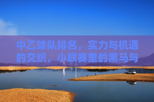 中乙球队排名，实力与机遇的交织，小联赛里的黑马与老将故事