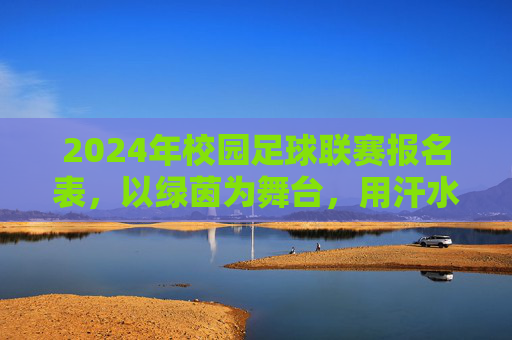 2024年校园足球联赛报名表,以绿茵为舞台,用汗水铸就青春荣光,2024年校园足球联赛报名表,以绿茵为舞台,用汗水铸就青春荣光