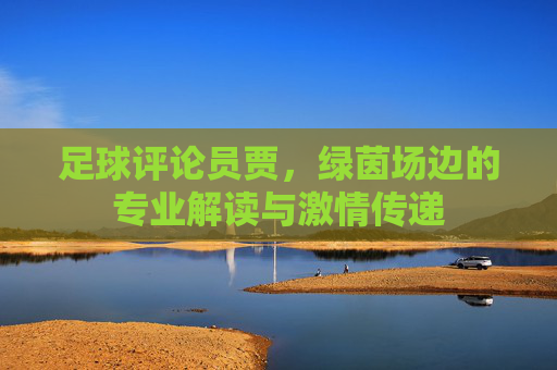足球评论员贾，绿茵场边的专业解读与激情传递