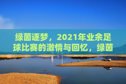 绿茵逐梦,2021年业余足球比赛的激情与回忆,绿茵逐梦,2021年业余足球比赛的激情与回忆