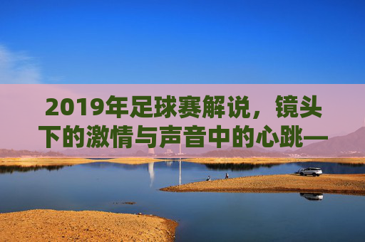 2019年足球赛解说，镜头下的激情与声音中的心跳——一场解说员的热血与智慧盛宴，2019年足球赛解说，镜头下的激情与声音中的心跳——一场解说员的热血与智慧盛宴