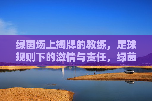 绿茵场上掏牌的教练，足球规则下的激情与责任，绿茵场上掏牌的教练，足球规则下的激情与责任