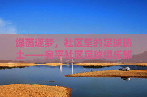 绿茵逐梦，社区里的足球热土——宛平社区足球俱乐部的成长故事，绿茵逐梦，社区里的足球热土——宛平社区足球俱乐部的成长故事