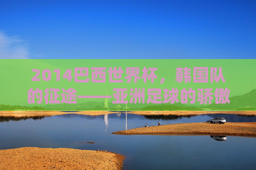 2014巴西世界杯，韩国队的征途——亚洲足球的骄傲与挑战，2014巴西世界杯，韩国队的征途——亚洲足球的骄傲与挑战