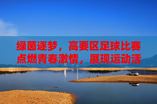 绿茵逐梦，高要区足球比赛点燃青春激情，展现运动活力