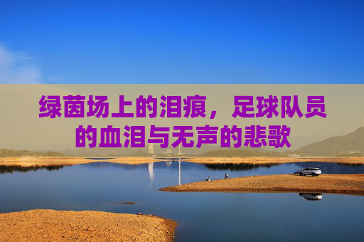 绿茵场上的泪痕，足球队员的血泪与无声的悲歌