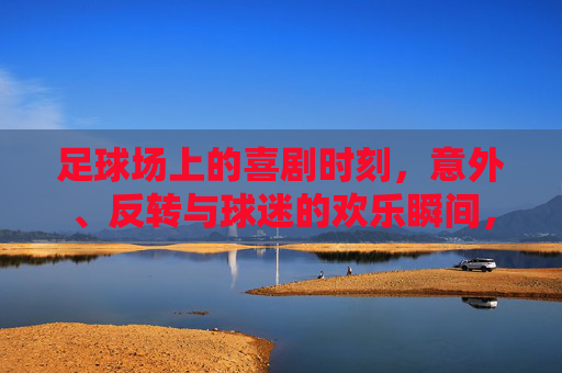 足球场上的喜剧时刻，意外、反转与球迷的欢乐瞬间，足球场上的喜剧时刻，意外、反转与球迷的欢乐瞬间