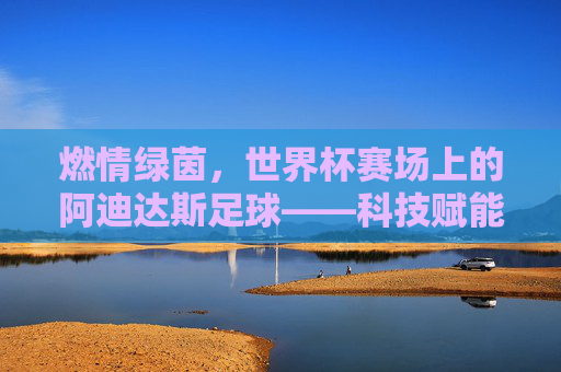 燃情绿茵，世界杯赛场上的阿迪达斯足球——科技赋能与激情共鸣的完美融合，燃情绿茵，世界杯赛场上的阿迪达斯足球——科技赋能与激情共鸣的完美融合