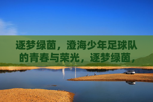 逐梦绿茵，澄海少年足球队的青春与荣光，逐梦绿茵，澄海少年足球队的青春与荣光