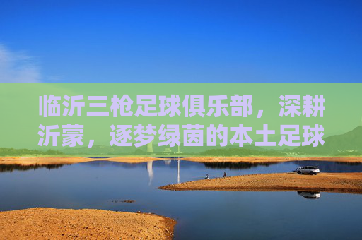 临沂三枪足球俱乐部，深耕沂蒙，逐梦绿茵的本土足球力量，临沂三枪足球俱乐部，深耕沂蒙，逐梦绿茵的本土足球力量
