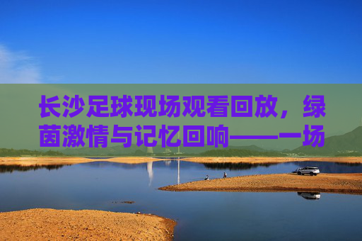 长沙足球现场观看回放，绿茵激情与记忆回响——一场关于热爱与传承的足球盛宴