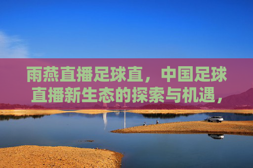 雨燕直播足球直，中国足球直播新生态的探索与机遇，雨燕直播足球直，中国足球直播新生态的探索与机遇