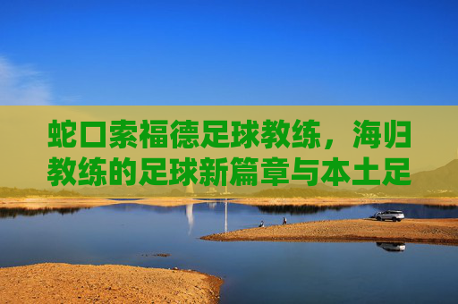 蛇口索福德足球教练,海归教练的足球新篇章与本土足球的深度融合