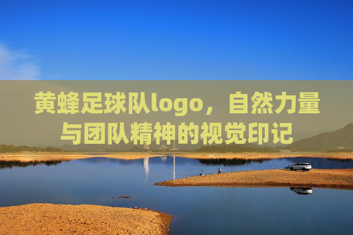 黄蜂足球队logo,自然力量与团队精神的视觉印记