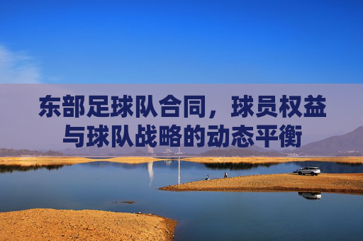 东部足球队合同，球员权益与球队战略的动态平衡