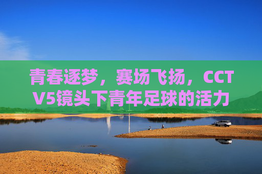 青春逐梦，赛场飞扬，CCTV5镜头下青年足球的活力与希望，青春逐梦，赛场飞扬，CCTV5镜头下青年足球的活力与希望