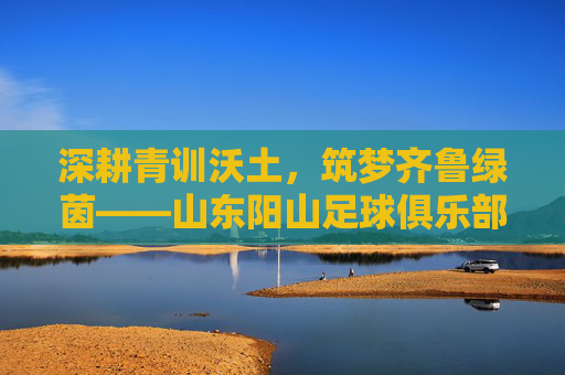 深耕青训沃土,筑梦齐鲁绿茵——山东阳山足球俱乐部发展巡礼,深耕青训沃土,筑梦齐鲁绿茵——山东阳山足球俱乐部发展巡礼