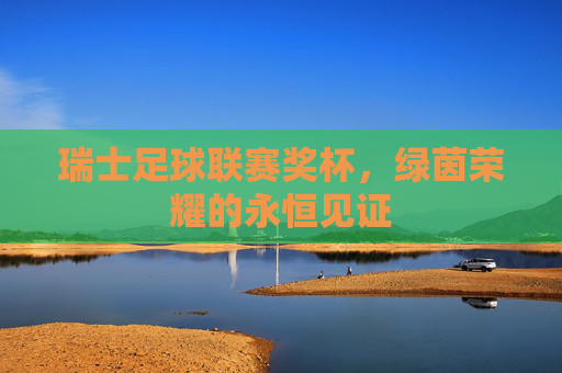 瑞士足球联赛奖杯，绿茵荣耀的永恒见证