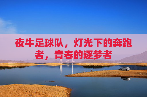 夜牛足球队,灯光下的奔跑者,青春的逐梦者