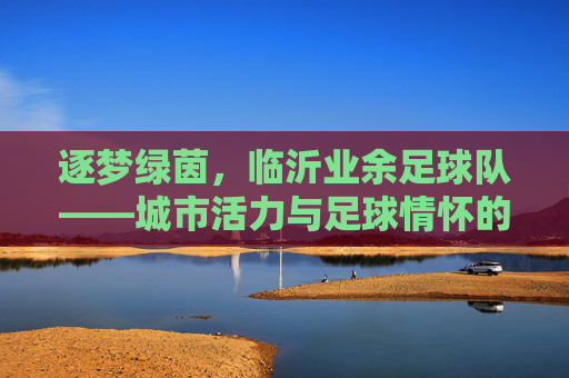 逐梦绿茵，临沂业余足球队——城市活力与足球情怀的交汇点
