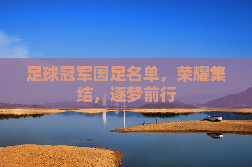 足球冠军国足名单,荣耀集结,逐梦前行