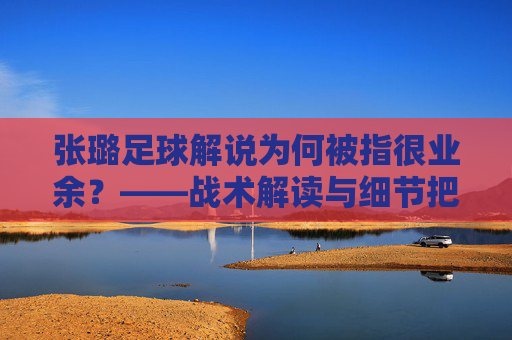 张璐足球解说为何被指很业余？——战术解读与细节把握的明显短板剖析，张璐足球解说为何被指很业余？——战术解读与细节把握的明显短板剖析