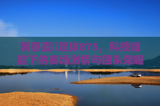 雨燕直墦足球875，科技赋能下的赛场激情与团队荣耀