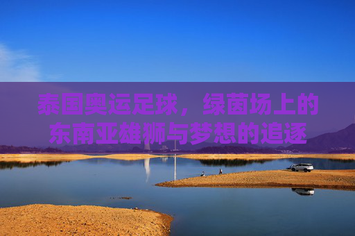 泰国奥运足球，绿茵场上的东南亚雄狮与梦想的追逐