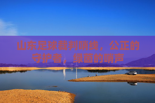 山东足球裁判哨线,公正的守护者,绿茵的哨声