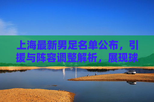 上海最新男足名单公布，引援与阵容调整解析，展现球队新面貌