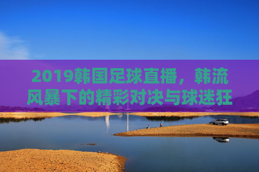 2019韩国足球直播,韩流风暴下的精彩对决与球迷狂欢