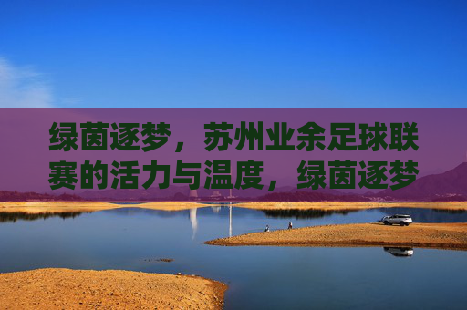 绿茵逐梦，苏州业余足球联赛的活力与温度，绿茵逐梦，苏州业余足球联赛的活力与温度