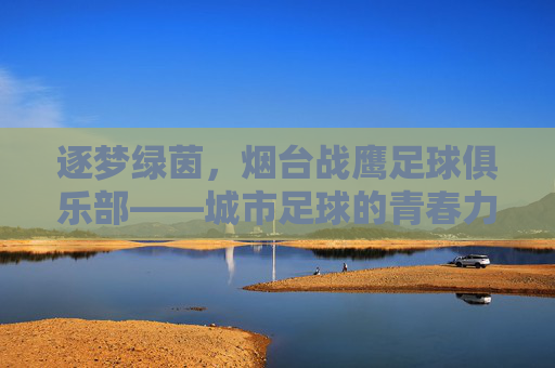 逐梦绿茵,烟台战鹰足球俱乐部——城市足球的青春力量与传承之路