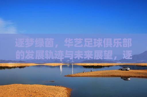 逐梦绿茵，华艺足球俱乐部的发展轨迹与未来展望，逐梦绿茵，华艺足球俱乐部的发展轨迹与未来展望