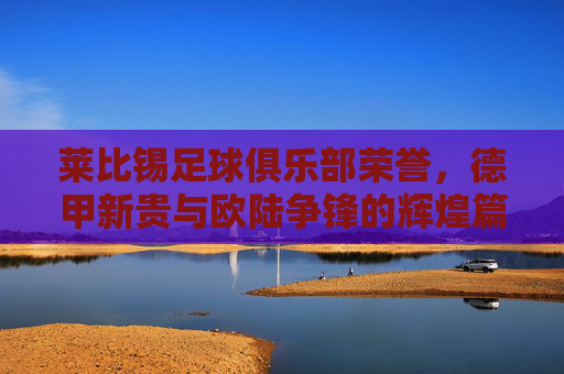 莱比锡足球俱乐部荣誉,德甲新贵与欧陆争锋的辉煌篇章,莱比锡,德甲新贵与欧陆争锋的辉煌荣誉篇章