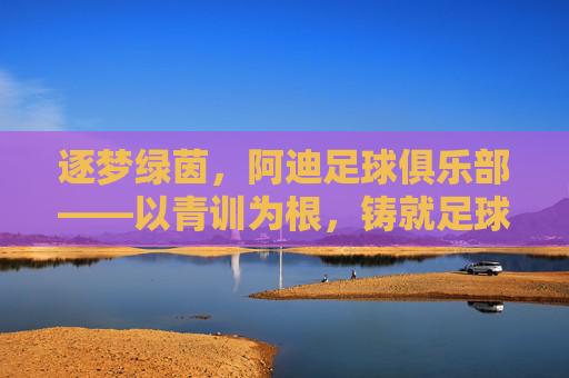 逐梦绿茵，阿迪足球俱乐部——以青训为根，铸就足球未来
