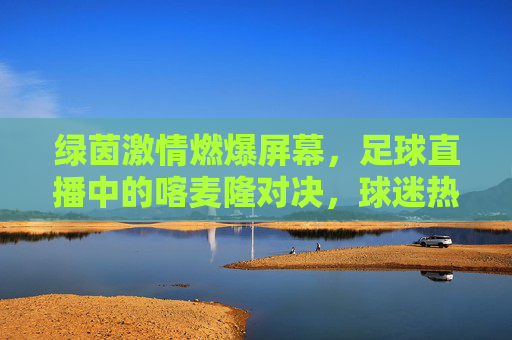 绿茵激情燃爆屏幕,足球直播中的喀麦隆对决,球迷热血随球共赴盛宴,绿茵激情燃爆屏幕,喀麦隆对决足球直播中,球迷热血共赴盛宴
