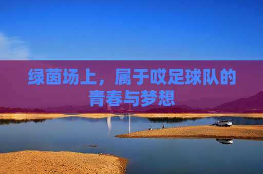 绿茵场上，属于哎足球队的青春与梦想